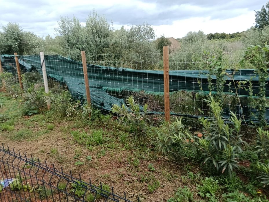 Quinta  com muita capacidade