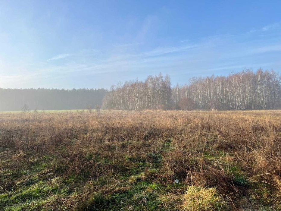 Ostatnia działka budowlana z bezterminowymi WZ - sielska okolica i 4 minuty do Łasku - View 2