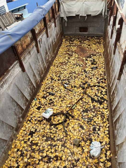 Самосвал полуприцеп