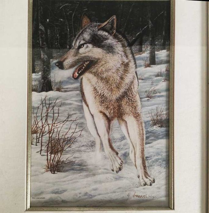 Conjunto de 3 Quadros Impressão Limitada