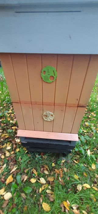 Sprzedam ule wielkopolskie