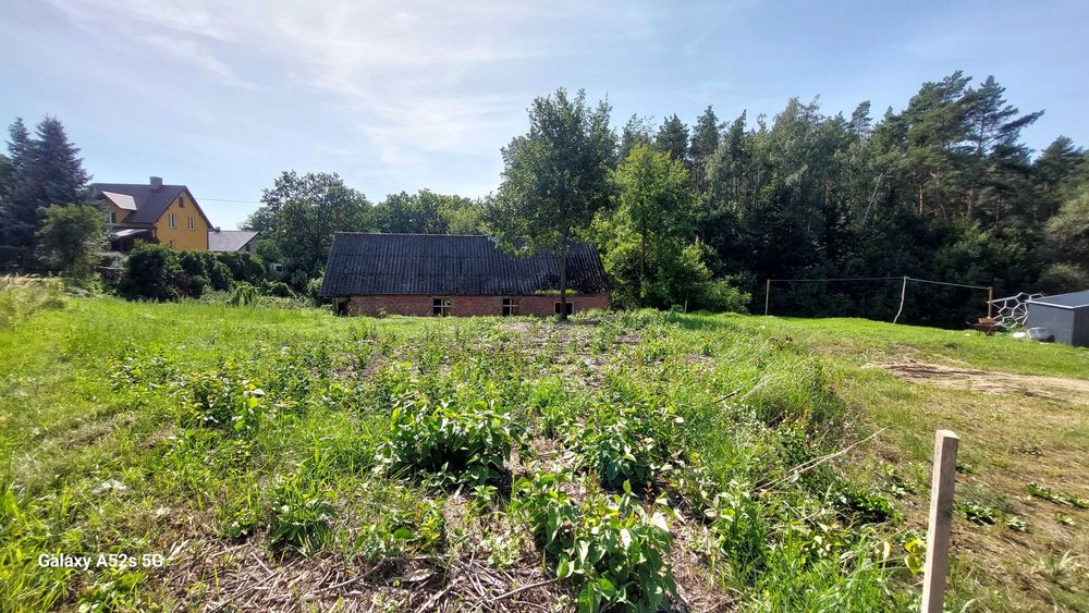 Dwie działki nad Wisłą Widlice