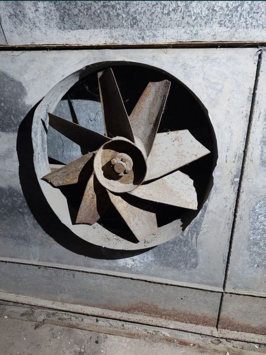 Wentylatory do suszarni