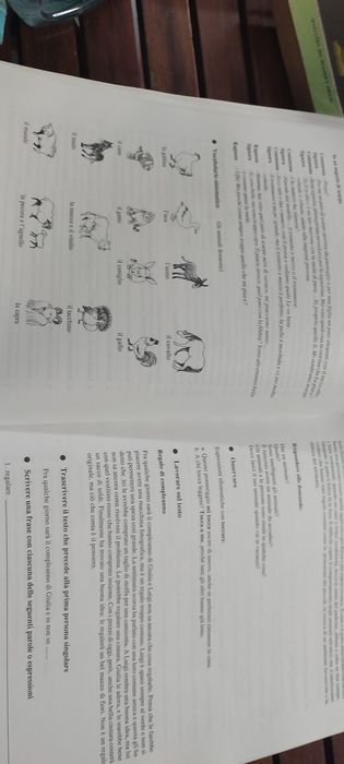 Parla e scrivi de E. Jafrancesco