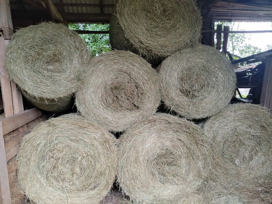 Sprzedam siano w balach