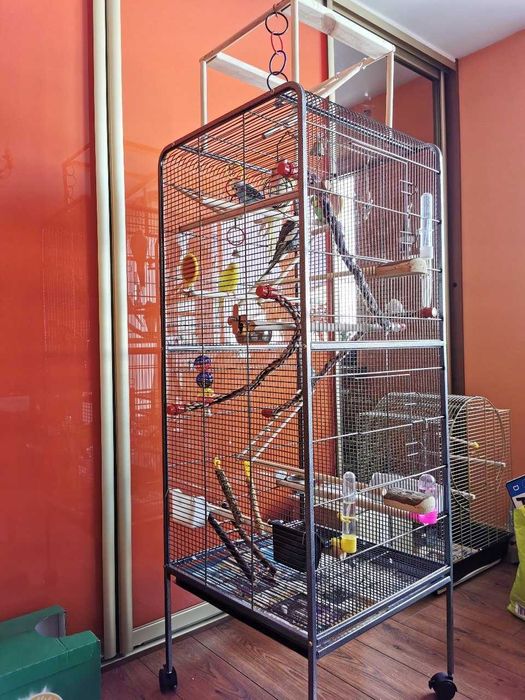 DUŻA KLATKA WOLIERA *nowa* klatka dla ptaków papug na kółkach