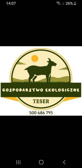 Ocet z rajskich jabłuszek z cynamonem i goździkami.