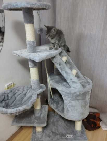 Когтеточка для кота з будиночком