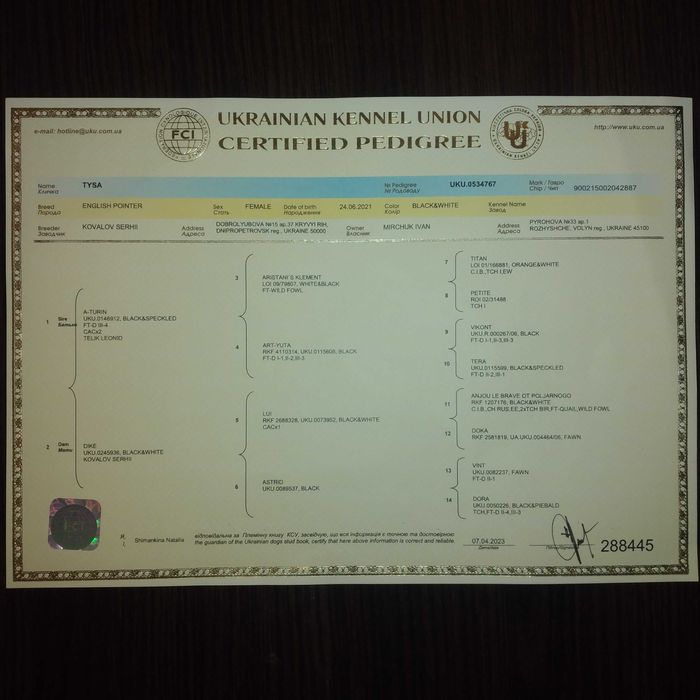 Англійський пойнтер