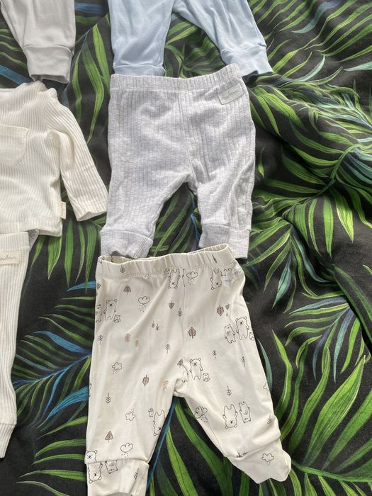 Ciuszki niemowlece sinsay