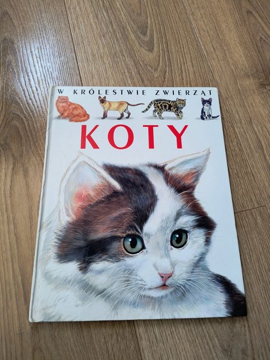 Książka "Koty" Emilie Beaumont