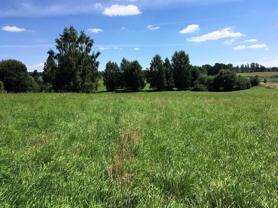 Działki nad jeziorem Dadaj (2ha)
