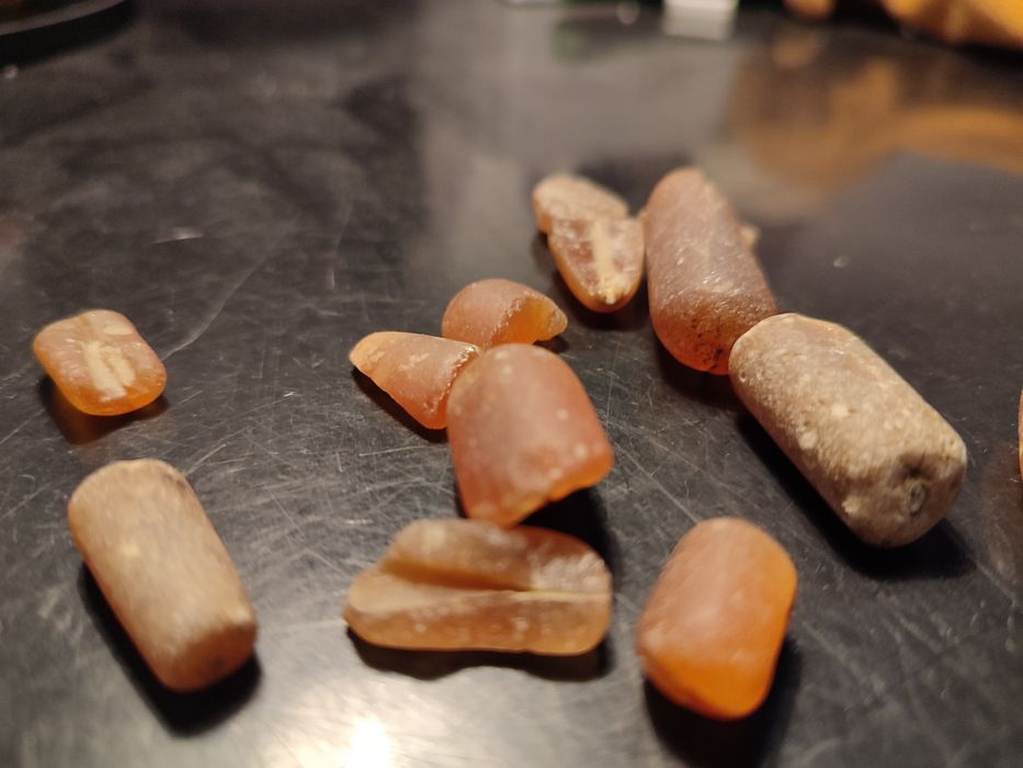 Skamieliny belemnita