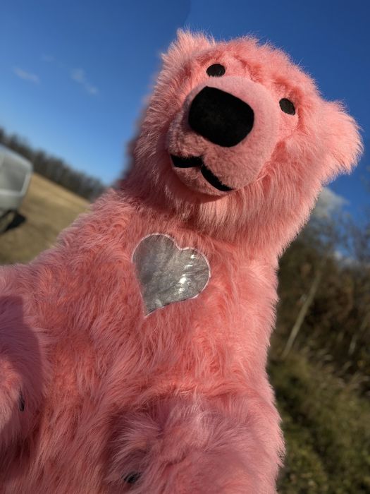 Рожевий ведмедик Коломия.Білий ведмідь.Аніматори