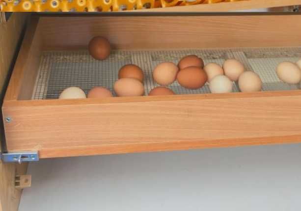 SPRAWDZONY inkubator do jaj NOWY polski producent FILM