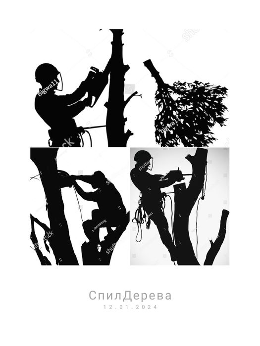 Зрізання ДЕРЕВ та обрізка ДЕРЕВ