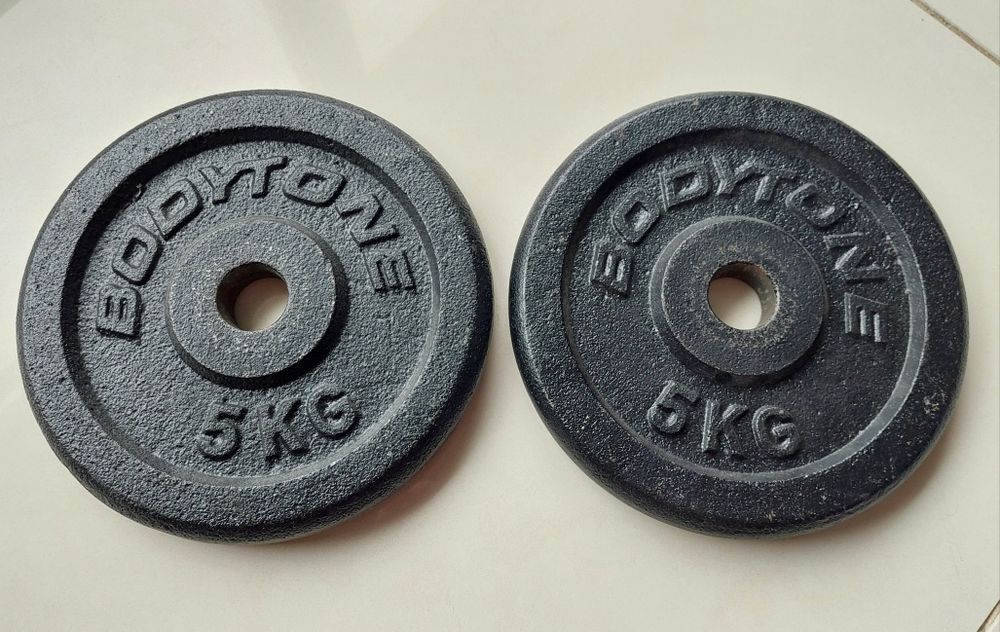 Discos em ferro fundido 5 kg