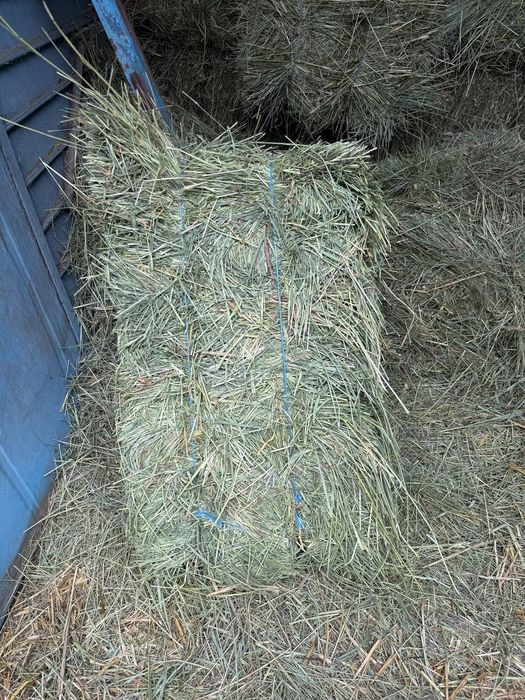 Продам сено в тюках