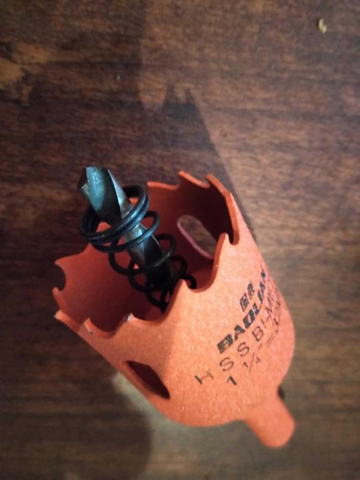 Broca craneana nova.