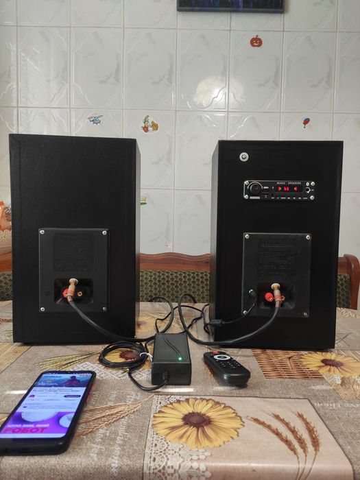 Активная акустика Радиотехника С-30