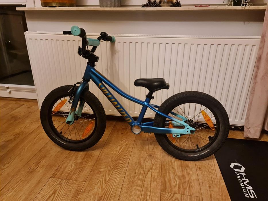 Rower 16 Specialized