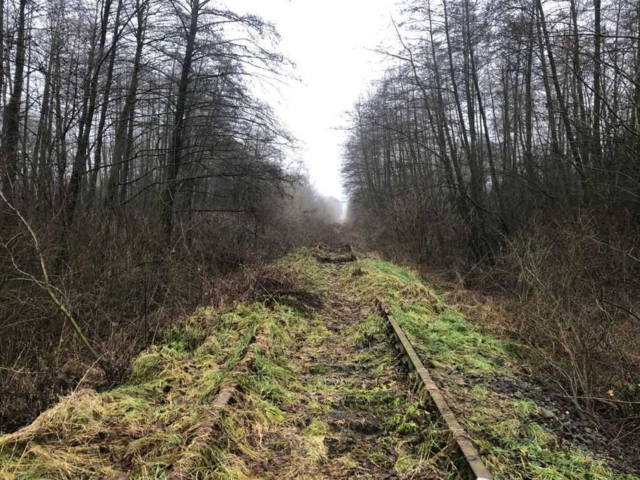Земельна ділянка 1,5 га ЖД під елеватор/склад/базу