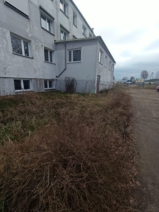 2 Lokale usługowo- handlowe lub 6 mieszkań  z parkingiem