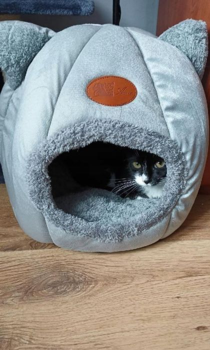 Domek, legowisko dla kota