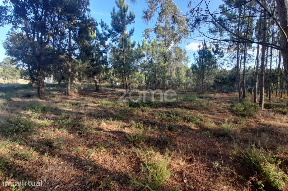 Terreno Rustico