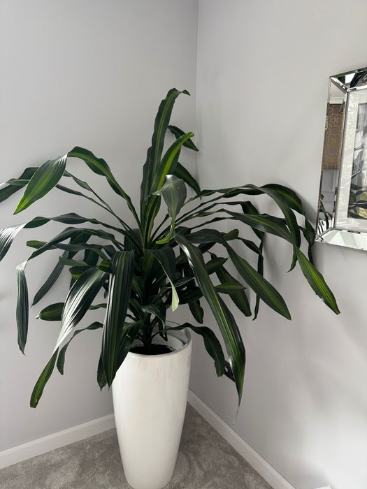 Donice z włókna szklanego