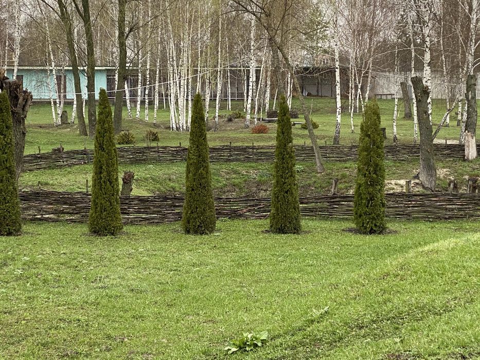 Приватне господарство  3 га