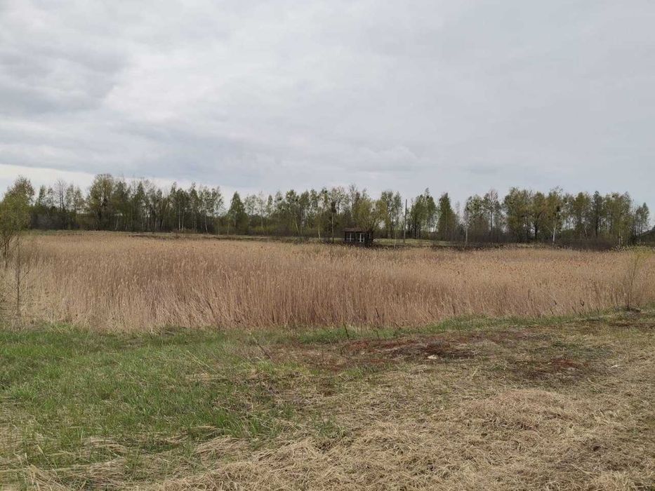 Продаж земельна ділянка під забудову смт Немішаєве