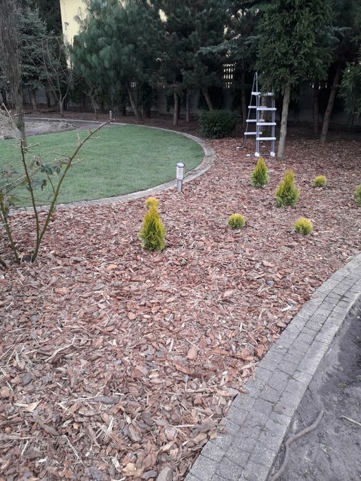 Kora sosnowa ozdobna