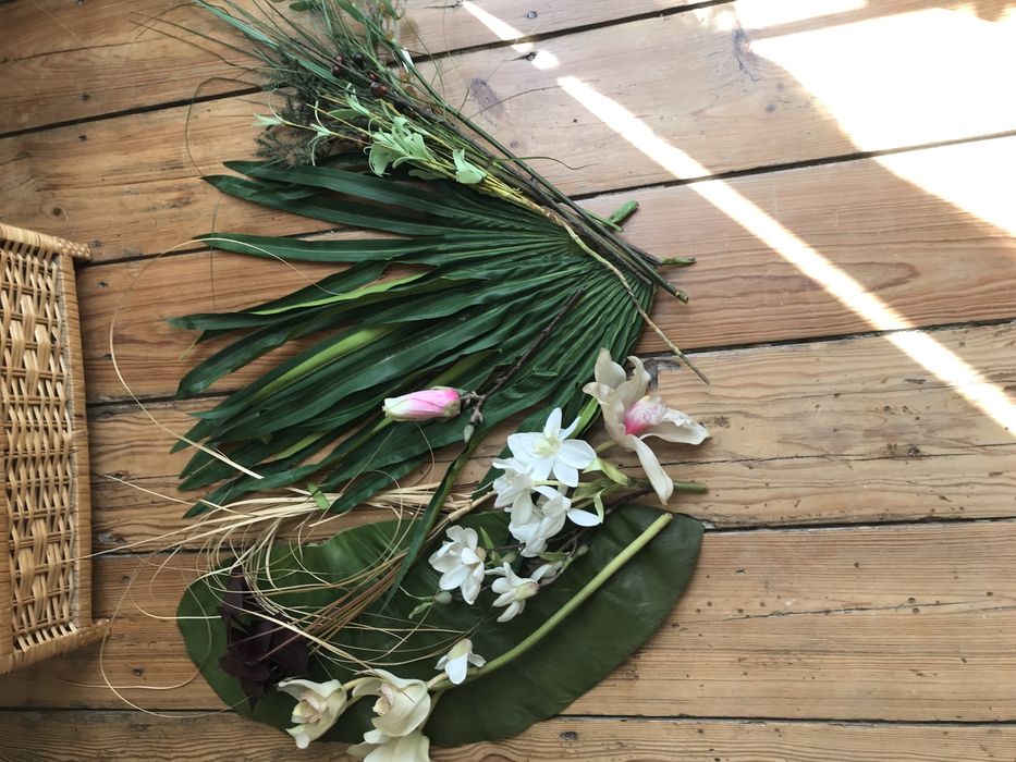 SIA - planta - folha de figueira e outras