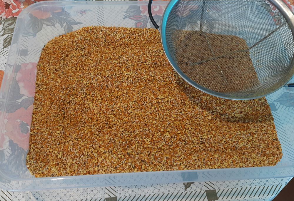 Пыльца пчелиная, пилок бджолиний