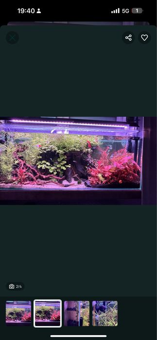 Akwarium 120/50/35