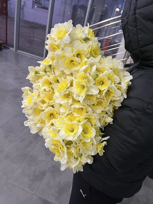 Нарциз жовтий, білий зрізаний