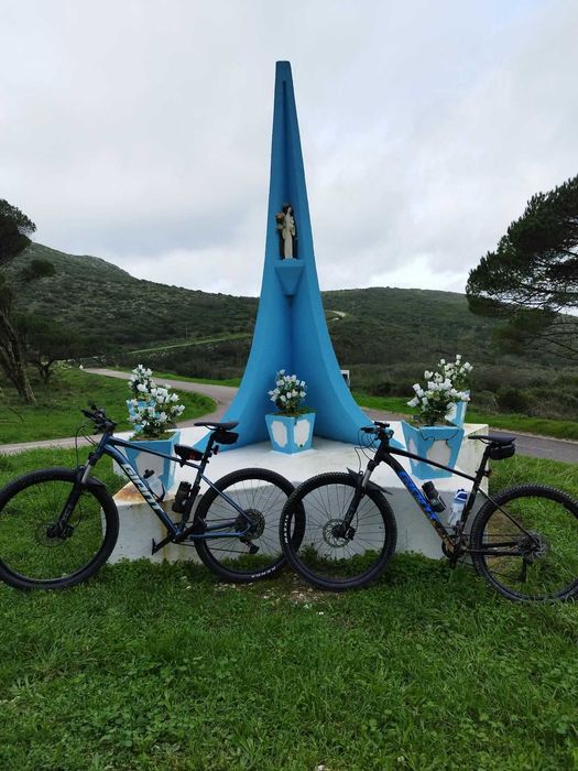 Bicicleta Giant Talon tamanho L