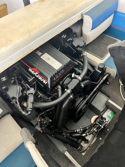 Barco Rinker 181
