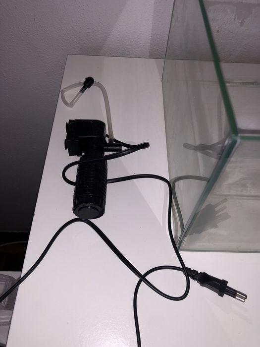 Aquario tartarugueira