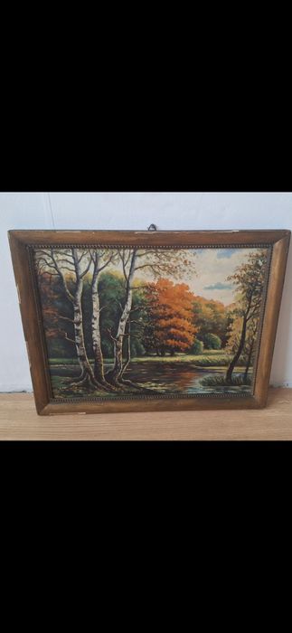 Jesienny obraz płynącej rzeki 47.5 x 36.5