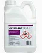 Fungicydy Duet na start Daxur Avtar Pictor Maxior Caryx Gavial Toprex