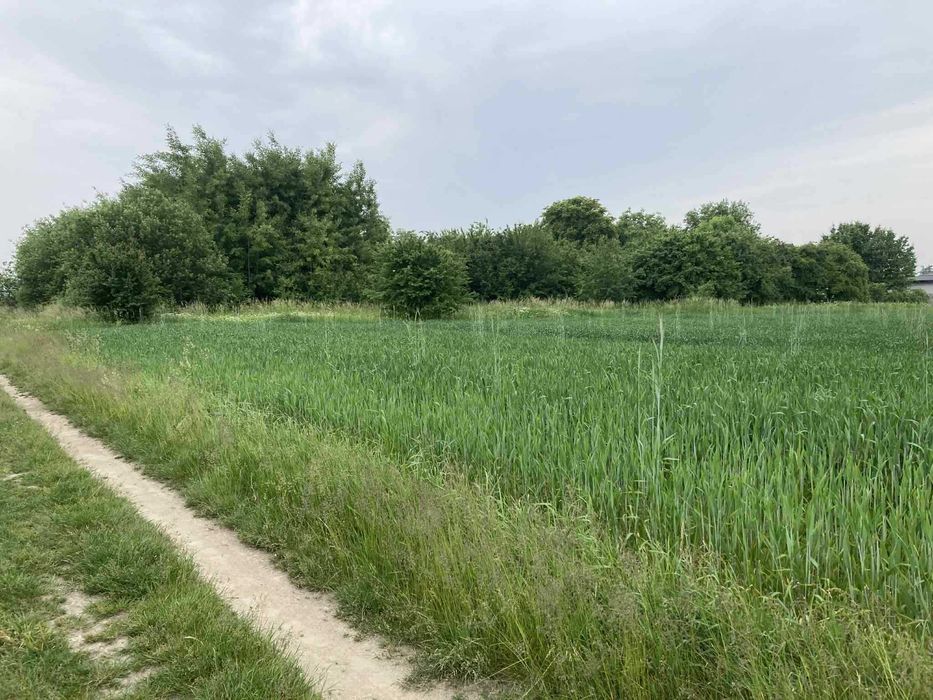 Emilianów Działka budowlana z domem i budynkiem gospodarczym 3800m2