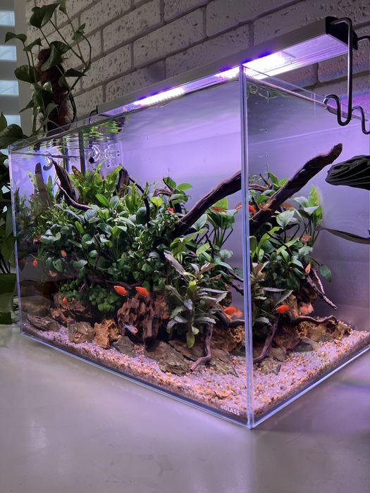 Аквариум Aquascape