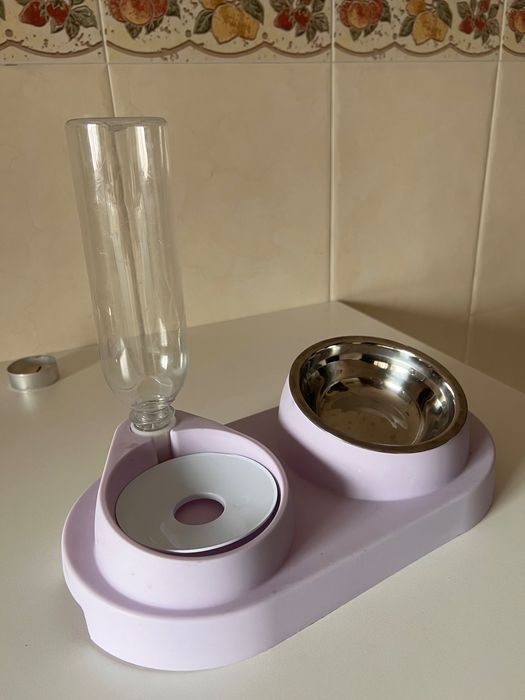 Conjunto tigela de alimentação e dispensador de água