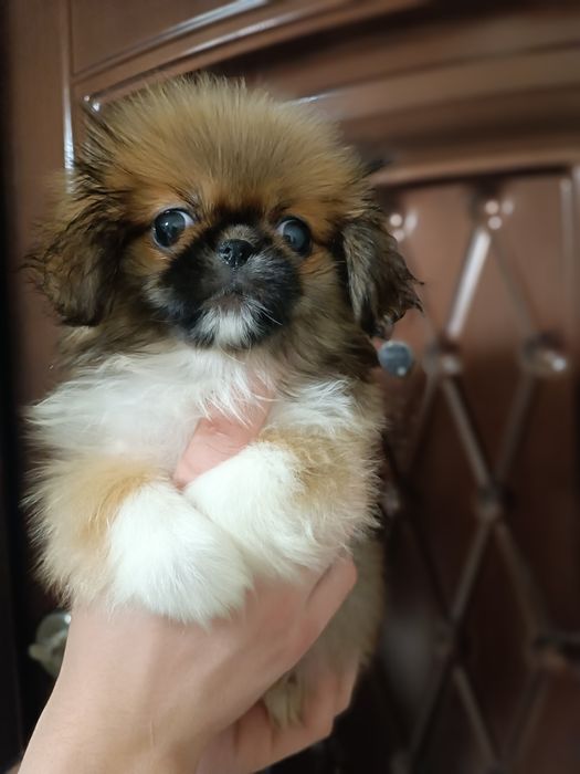 Радость ждёт именно Вас