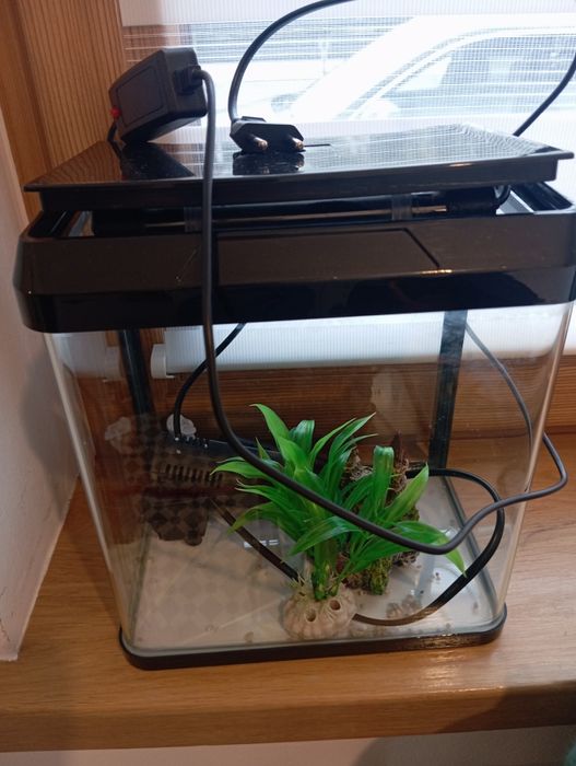 Sprzedam kompletne akwarium 7l