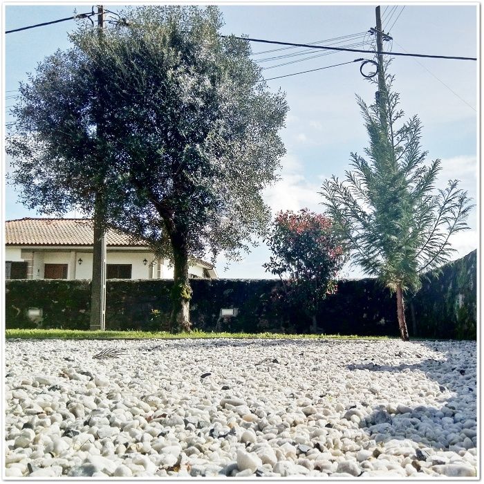 Pedra Decorativa Branca (Vários tamanhos)