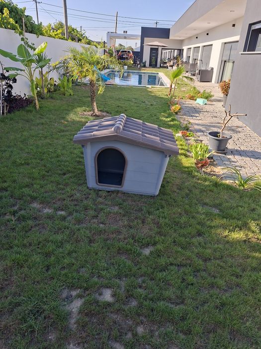Casota para Cão praticamente nova!