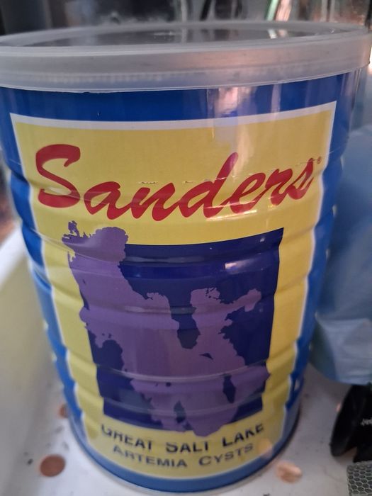 Ovos artemia eclodir